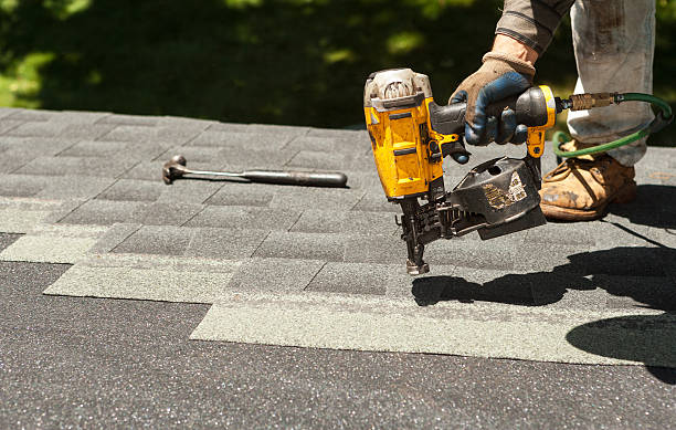 Best Roof Gutter Cleaning  in Walnut Grove, GA